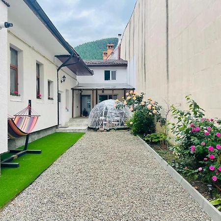 Schei Brasov-Скей Брашов Apartment Bagian luar foto